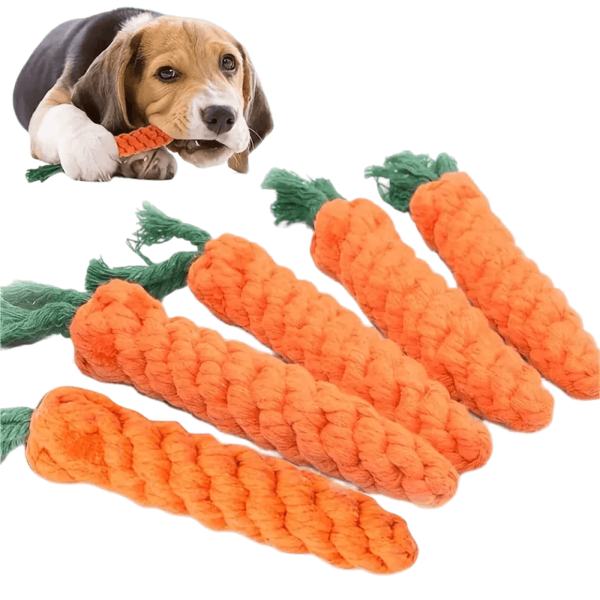 Carrot Shaped Rope Toy for Dog