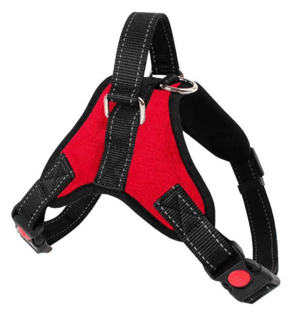 Chest Leash for Dog