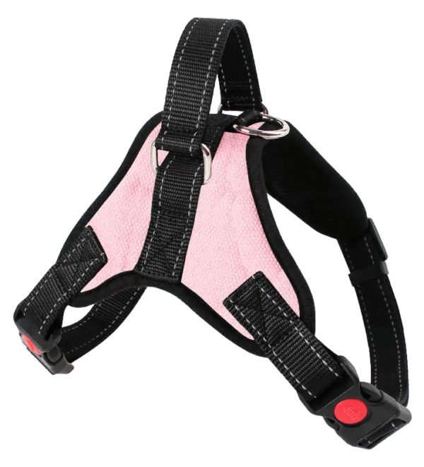 Chest Strap with Leash for Dog - 1 No. - Image 7