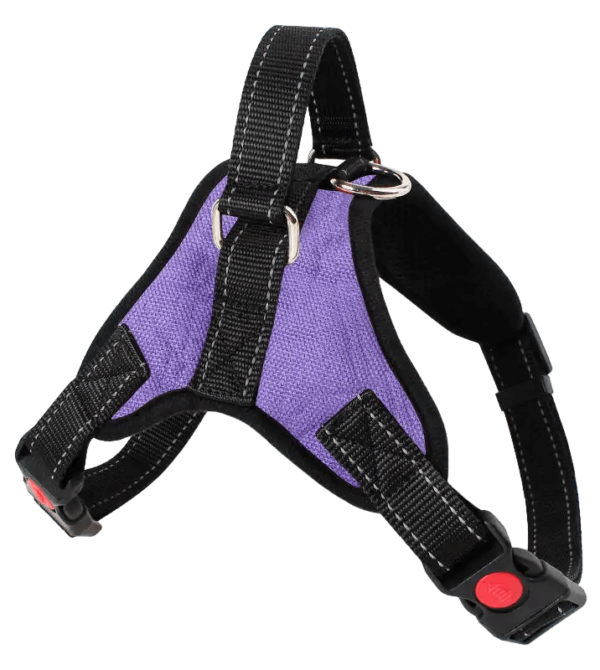 Chest Strap with Leash for Dog - 1 No. - Image 6