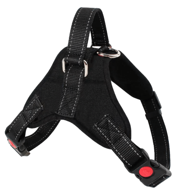 Chest Strap with Leash for Dog - 1 No. - Image 5