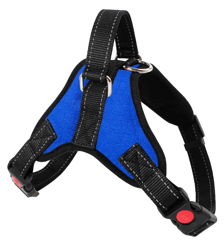 Chest Strap with Leash