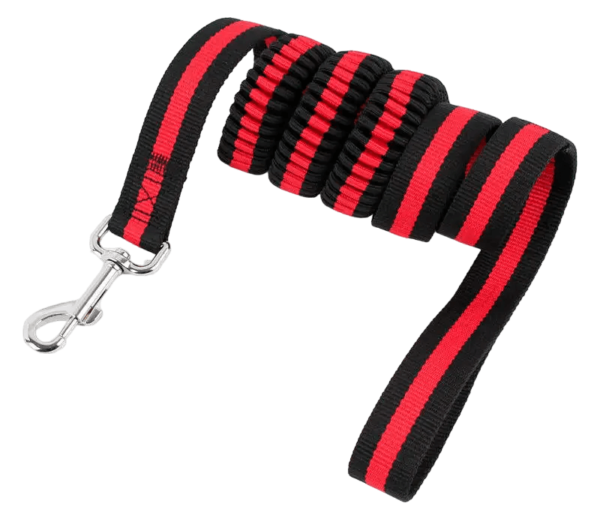 Chest Strap with Leash for Dog - 1 No. - Image 3