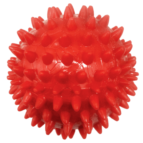 Spike Red Ball for Dog