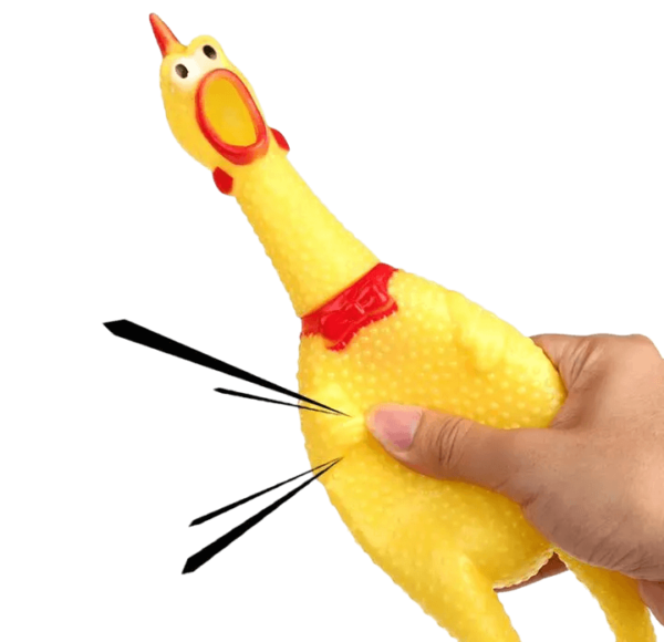 Squeaky Chicken Toy for Pet