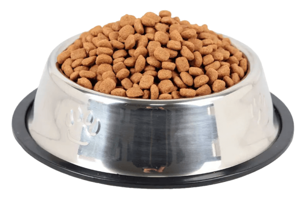 Steel Food Bowl for Dog