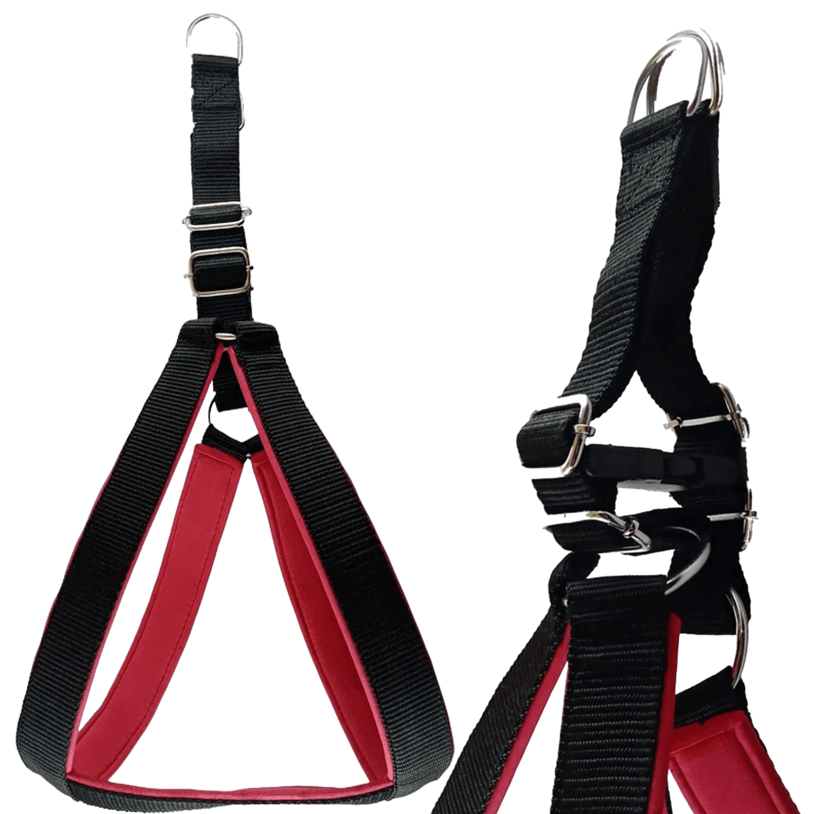 Chest Strap with Leash