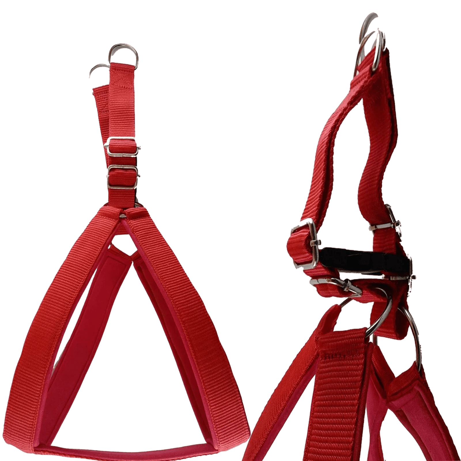 Chest Strap with Leash