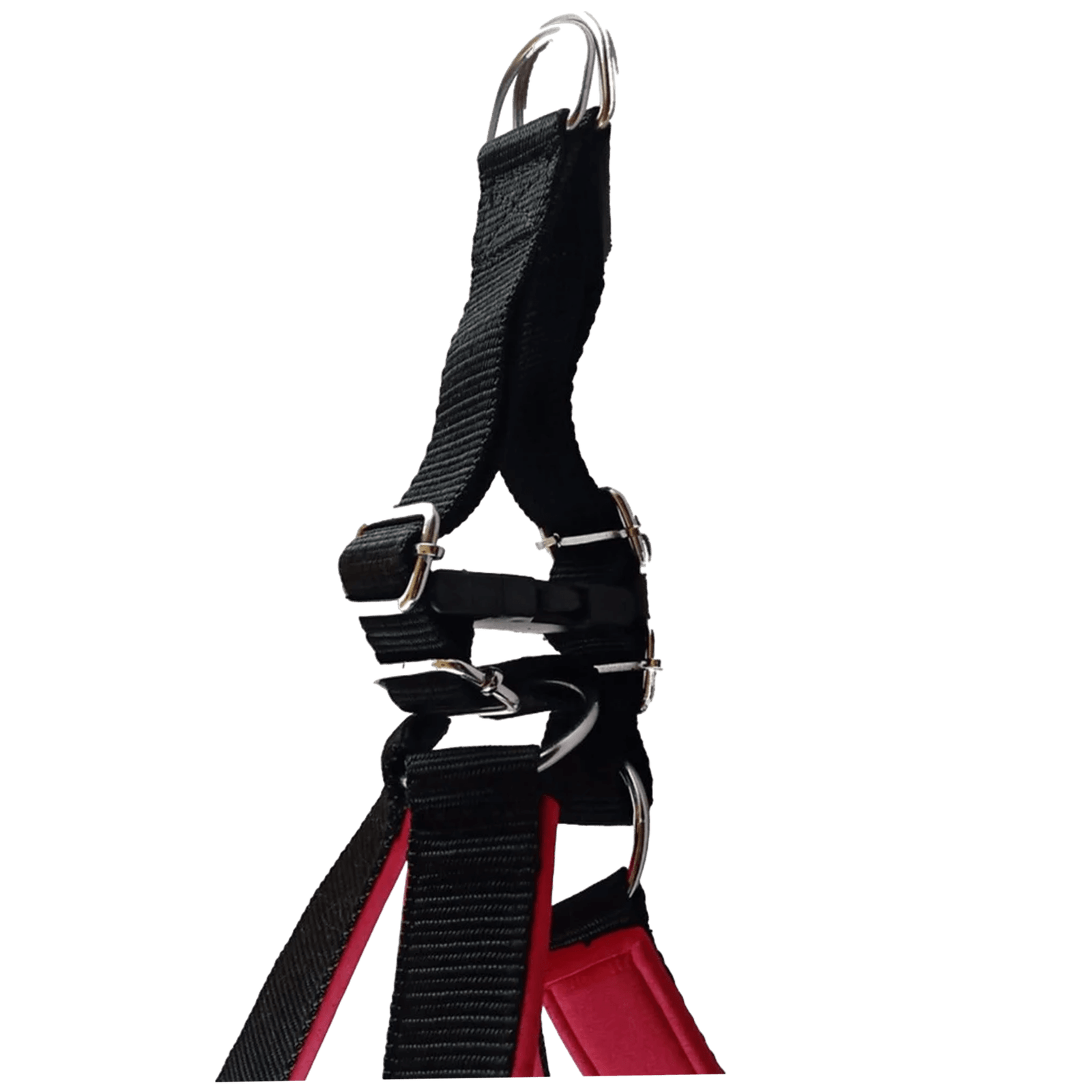 Chest Strap with Leash