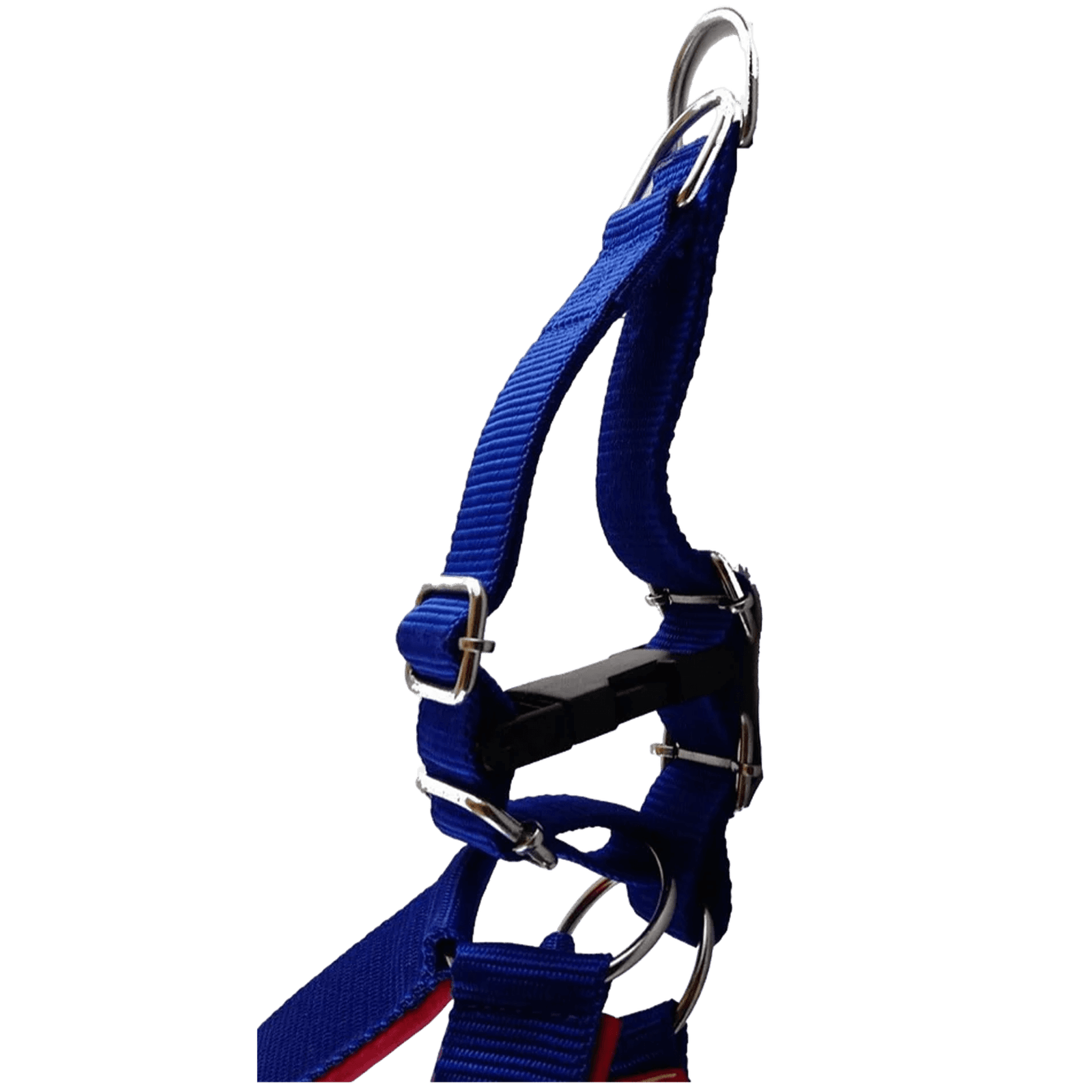 Chest Strap with Leash