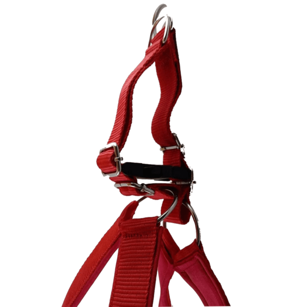 Chest Strap with Leash