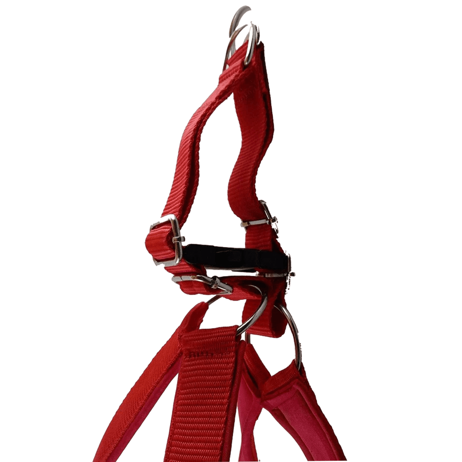 Chest Strap with Leash