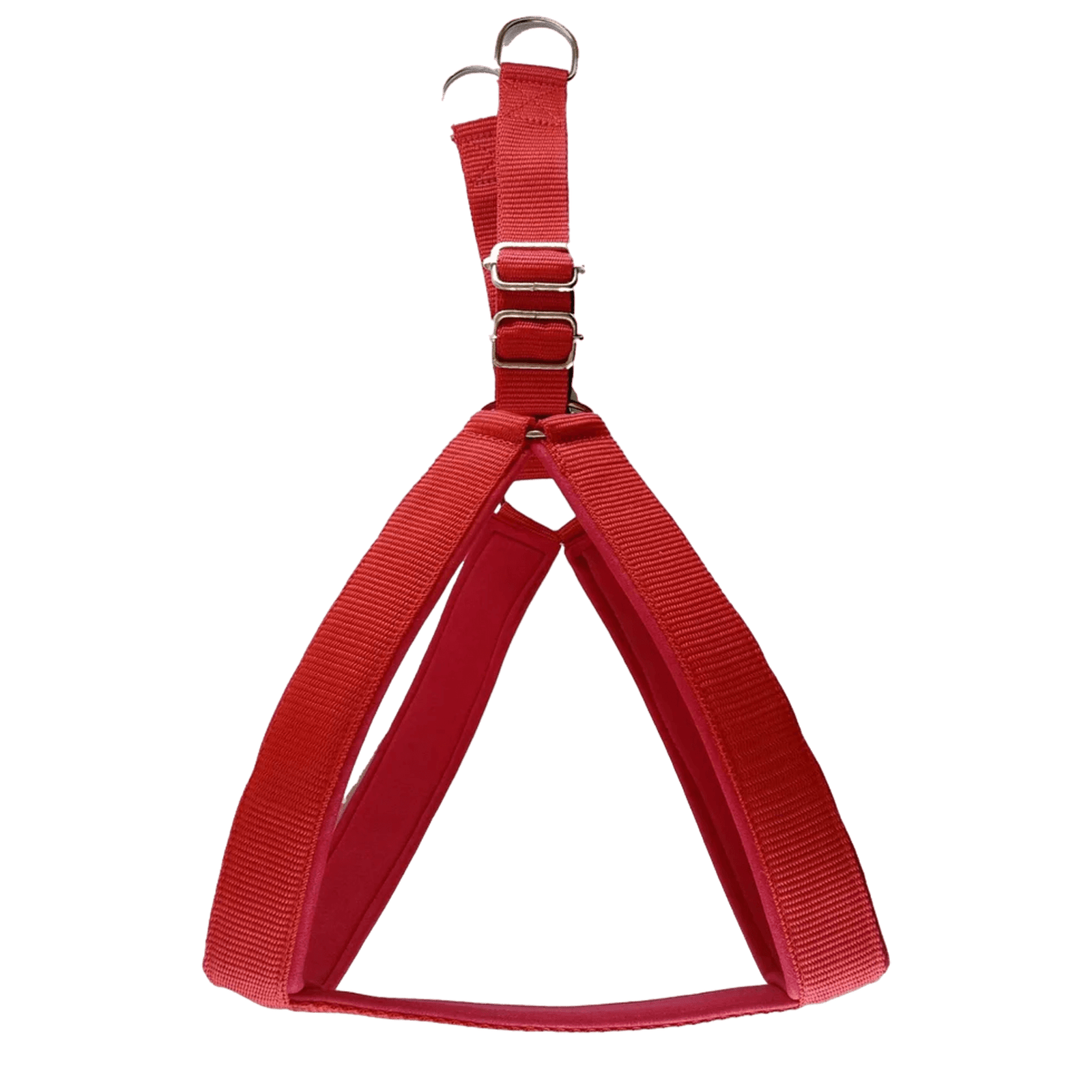 Chest Strap with Leash