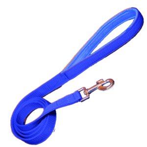 Soft Padded Leash for Dog