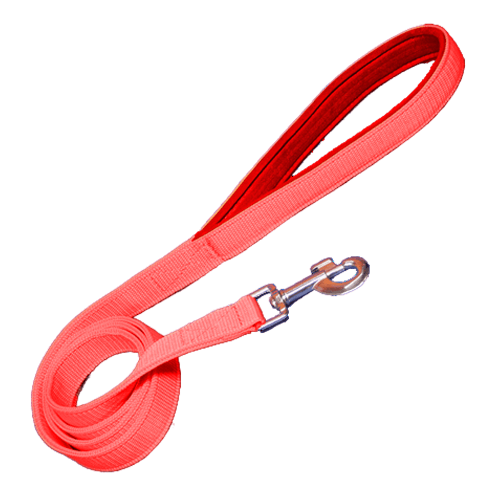 Soft Padded Leash for Dog