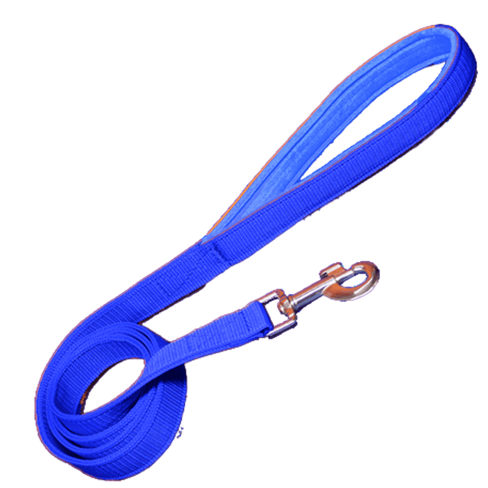 Soft Padded Leash for Dog